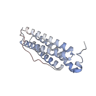 33639_7y6f_J_v1-3
Cryo-EM structure of Apo form of ScBfr