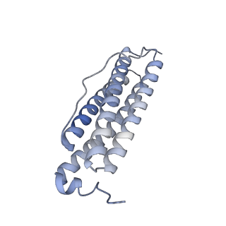 33639_7y6f_P_v1-3
Cryo-EM structure of Apo form of ScBfr