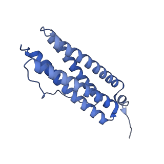 33640_7y6g_A_v1-3
Cryo-EM structure of bacterioferritin holoform 1a