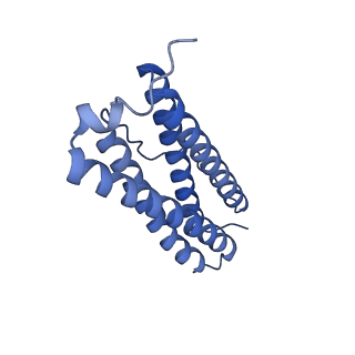 33640_7y6g_B_v1-3
Cryo-EM structure of bacterioferritin holoform 1a
