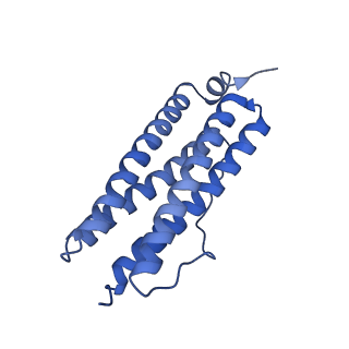 33640_7y6g_C_v1-3
Cryo-EM structure of bacterioferritin holoform 1a