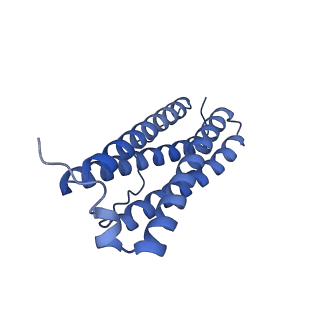 33640_7y6g_D_v1-3
Cryo-EM structure of bacterioferritin holoform 1a