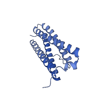 33640_7y6g_E_v1-3
Cryo-EM structure of bacterioferritin holoform 1a