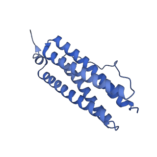 33640_7y6g_F_v1-3
Cryo-EM structure of bacterioferritin holoform 1a