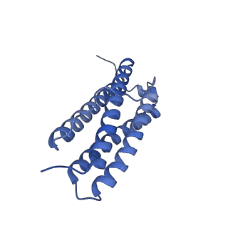 33640_7y6g_G_v1-3
Cryo-EM structure of bacterioferritin holoform 1a