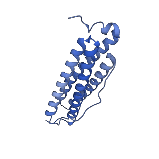 33640_7y6g_H_v1-3
Cryo-EM structure of bacterioferritin holoform 1a