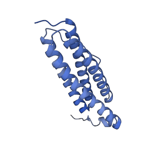 33640_7y6g_I_v1-3
Cryo-EM structure of bacterioferritin holoform 1a