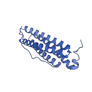 33640_7y6g_J_v1-3
Cryo-EM structure of bacterioferritin holoform 1a