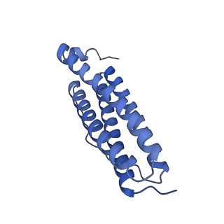 33640_7y6g_K_v1-3
Cryo-EM structure of bacterioferritin holoform 1a