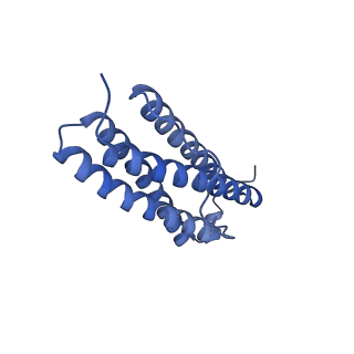 33640_7y6g_L_v1-3
Cryo-EM structure of bacterioferritin holoform 1a