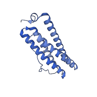 33640_7y6g_M_v1-3
Cryo-EM structure of bacterioferritin holoform 1a