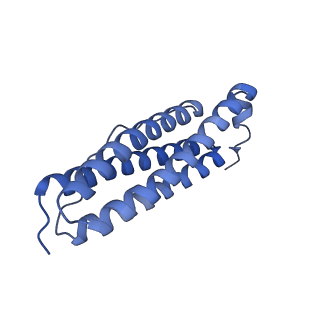 33640_7y6g_O_v1-3
Cryo-EM structure of bacterioferritin holoform 1a
