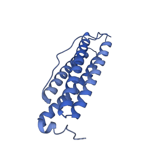 33640_7y6g_P_v1-3
Cryo-EM structure of bacterioferritin holoform 1a