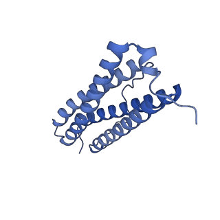 33640_7y6g_Q_v1-3
Cryo-EM structure of bacterioferritin holoform 1a