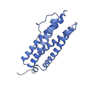 33640_7y6g_R_v1-3
Cryo-EM structure of bacterioferritin holoform 1a