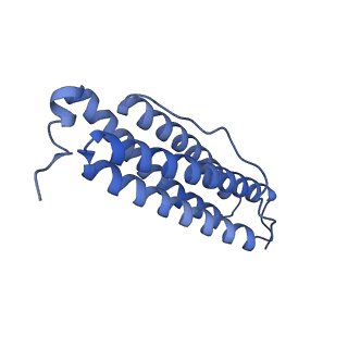 33640_7y6g_S_v1-3
Cryo-EM structure of bacterioferritin holoform 1a