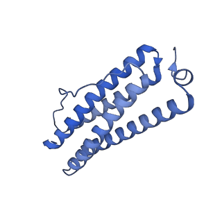 33640_7y6g_T_v1-3
Cryo-EM structure of bacterioferritin holoform 1a
