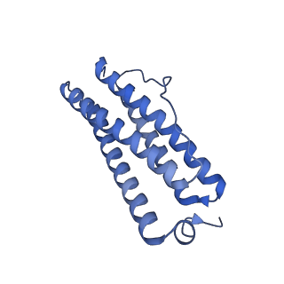 33640_7y6g_V_v1-3
Cryo-EM structure of bacterioferritin holoform 1a