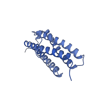 33640_7y6g_W_v1-3
Cryo-EM structure of bacterioferritin holoform 1a