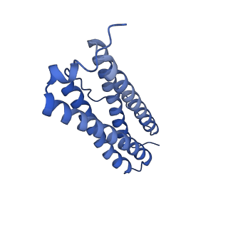 33645_7y6p_B_v1-3
Cryo-EM structure if bacterioferritin holoform