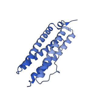 33645_7y6p_C_v1-3
Cryo-EM structure if bacterioferritin holoform