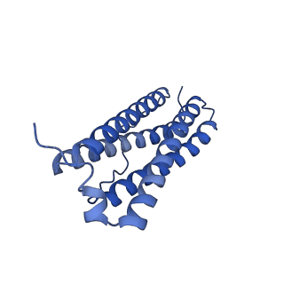 33645_7y6p_D_v1-3
Cryo-EM structure if bacterioferritin holoform
