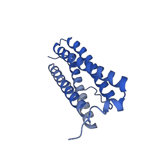 33645_7y6p_E_v1-3
Cryo-EM structure if bacterioferritin holoform