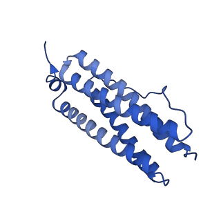 33645_7y6p_F_v1-3
Cryo-EM structure if bacterioferritin holoform