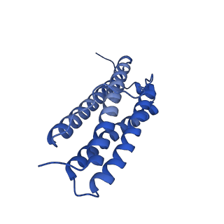 33645_7y6p_G_v1-3
Cryo-EM structure if bacterioferritin holoform
