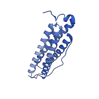 33645_7y6p_H_v1-3
Cryo-EM structure if bacterioferritin holoform