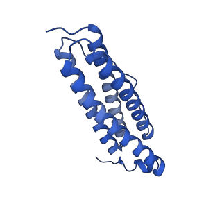 33645_7y6p_I_v1-3
Cryo-EM structure if bacterioferritin holoform