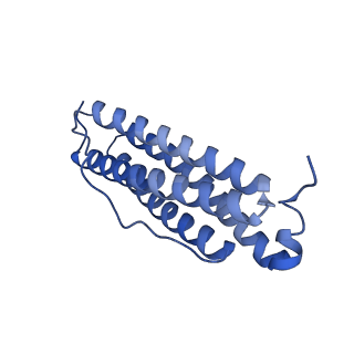 33645_7y6p_J_v1-3
Cryo-EM structure if bacterioferritin holoform
