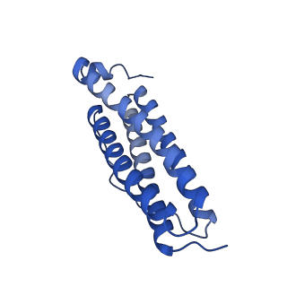 33645_7y6p_K_v1-3
Cryo-EM structure if bacterioferritin holoform
