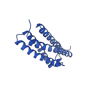 33645_7y6p_L_v1-3
Cryo-EM structure if bacterioferritin holoform