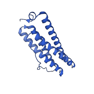 33645_7y6p_M_v1-3
Cryo-EM structure if bacterioferritin holoform