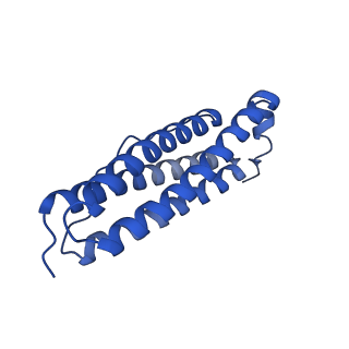 33645_7y6p_O_v1-3
Cryo-EM structure if bacterioferritin holoform