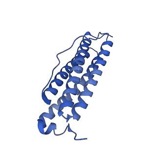 33645_7y6p_P_v1-3
Cryo-EM structure if bacterioferritin holoform