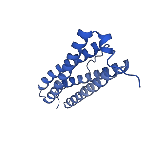 33645_7y6p_Q_v1-3
Cryo-EM structure if bacterioferritin holoform