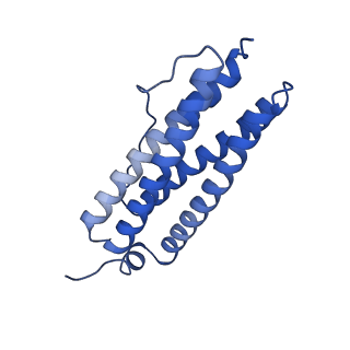 33645_7y6p_R_v1-3
Cryo-EM structure if bacterioferritin holoform