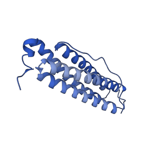 33645_7y6p_S_v1-3
Cryo-EM structure if bacterioferritin holoform