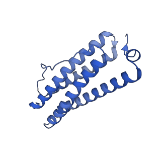 33645_7y6p_T_v1-3
Cryo-EM structure if bacterioferritin holoform