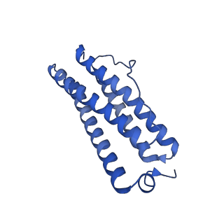 33645_7y6p_V_v1-3
Cryo-EM structure if bacterioferritin holoform