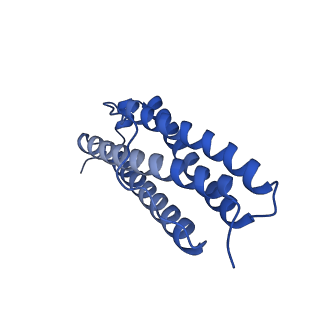 33645_7y6p_W_v1-3
Cryo-EM structure if bacterioferritin holoform