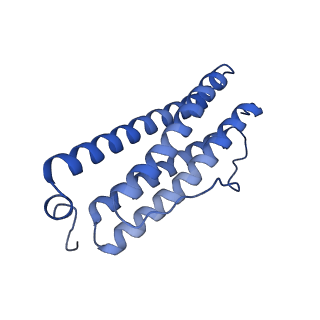 33645_7y6p_X_v1-3
Cryo-EM structure if bacterioferritin holoform