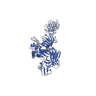 33646_7y6s_A_v1-1
Cryo-EM map of IPEC-J2 cell-derived PEDV PT52 S protein with three D0-up