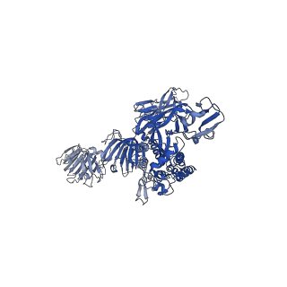 33646_7y6s_B_v1-1
Cryo-EM map of IPEC-J2 cell-derived PEDV PT52 S protein with three D0-up