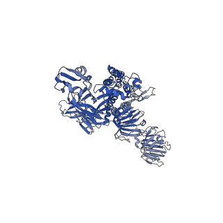 33646_7y6s_C_v1-1
Cryo-EM map of IPEC-J2 cell-derived PEDV PT52 S protein with three D0-up