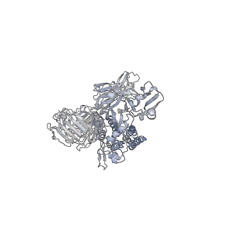 33647_7y6t_A_v1-2
Cryo-EM map of IPEC-J2 cell-derived PEDV PT52 S protein one D0-down and two D0-up
