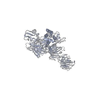 33647_7y6t_B_v1-2
Cryo-EM map of IPEC-J2 cell-derived PEDV PT52 S protein one D0-down and two D0-up