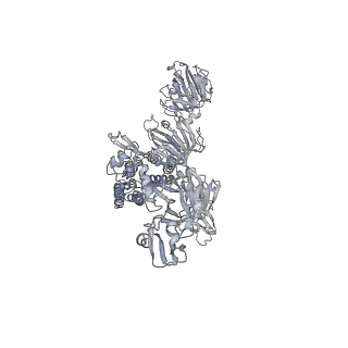 33647_7y6t_C_v1-2
Cryo-EM map of IPEC-J2 cell-derived PEDV PT52 S protein one D0-down and two D0-up